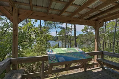 290 Windrow Way, Watersound, FL 32461 - Photo 73