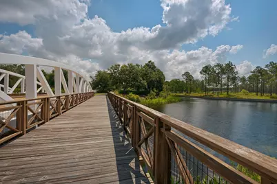 290 Windrow Way, Watersound, FL 32461 - Photo 49
