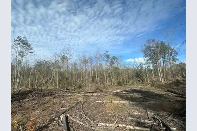 Tract#6331 Sellers Road, Bonifay, FL 32425 - Photo 5