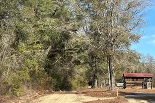 Tract#6331 Sellers Rd, Bonifay, FL 32425 - Photo 1