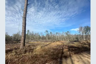 Tract#6331 Sellers Road, Bonifay, FL 32425 - Photo 3
