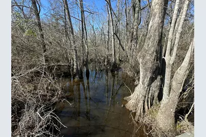 Tract#6317 Harris Stevenson Road, Bonifay, FL 32425 - Photo 3