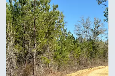 Tract#6317 Harris Stevenson Road, Bonifay, FL 32425 - Photo 5