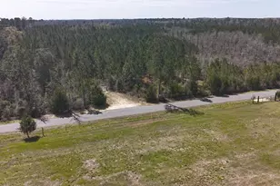 Tract#6416 Brock Rd, Caryville, FL 32427 - Photo 1