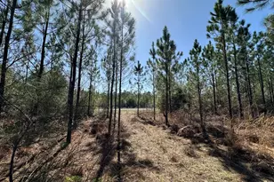 Tract#6416 Douglas Ferry North Rd, Caryville, FL 32427 - Photo 1