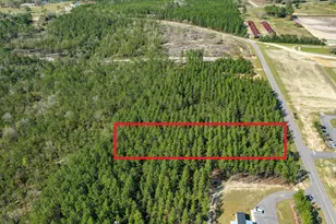 Xxx Triple G Rd, Defuniak Springs, FL 32433 - Photo 1