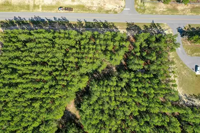 Xxx Triple G Road, Defuniak Springs, FL 32433 - Photo 3