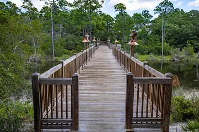 Lot 2 Thistle Lane, Santa Rosa Beach, FL 32459 - Photo 29