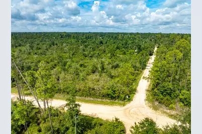 Xxx Webber Road, Fountain, FL 32438 - Photo 13