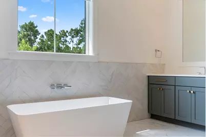 224 Needle Cast Lane, Inlet Beach, FL 32461 - Photo 33
