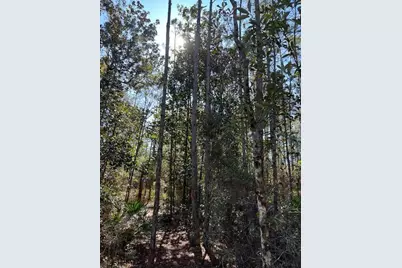 Abc Chat Holley Rd & Harstvedt Rd, Santa Rosa Beach, FL 32459 - Photo 13