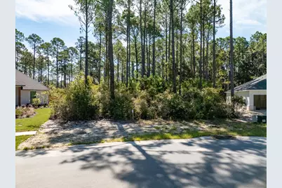Lot 37 E Captain Fritz Way, Freeport, FL 32439 - Photo 27