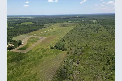 Lot 1 Hwy 71, Wewahitchka, FL 32465 - Photo 15
