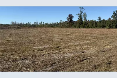 Lot 1 Hwy 71, Wewahitchka, FL 32465 - Photo 3