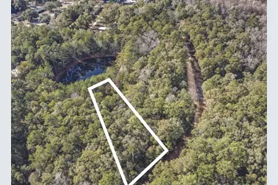 Lot 25 Blue Creek Road, Ponce de Leon, FL 32455 - Photo 3