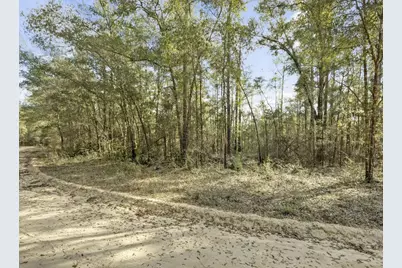 Lot 30 Blue Creek Road, Ponce de Leon, FL 32455 - Photo 5