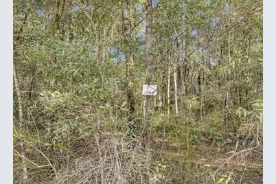 Lot 30 Blue Creek Road, Ponce de Leon, FL 32455 - Photo 7