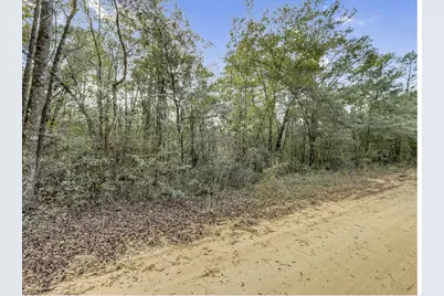 Lot 27 Blue Creek Road, Ponce de Leon, FL 32455 - Photo 9
