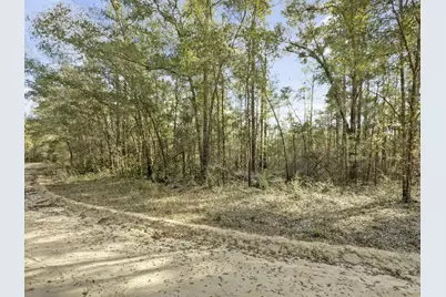 Lot 27 Blue Creek Road, Ponce de Leon, FL 32455 - Photo 7