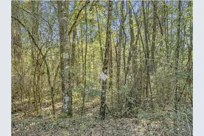 Lot 27 Blue Creek Road, Ponce de Leon, FL 32455 - Photo 11