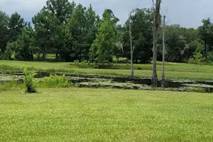 4320 Hwy 79, Vernon, FL 32462 - Photo 45