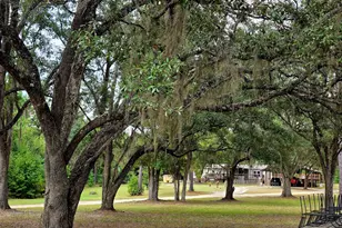 4320 Hwy 79, Vernon, FL 32462 - Photo 3