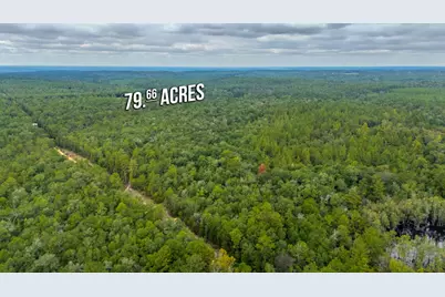 79 Acres Bucking Up Road, Laurel Hill, FL 32567 - Photo 7