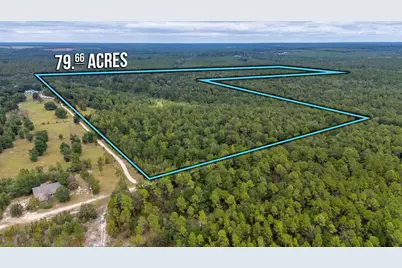 79 Acres Bucking Up Road, Laurel Hill, FL 32567 - Photo 1