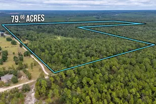 79 Acres Bucking Up Rd, Laurel Hill, FL 32567 - Photo 1