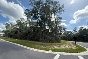 301 Yarrow Ln, Niceville, FL 32578 - Photo 1
