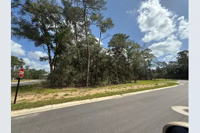 301 Yarrow Lane, Niceville, FL 32578 - Photo 3