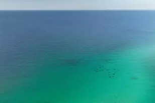 60 Sandprints Dr, Miramar Beach, FL 32550 - Photo 51