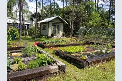 Lot 24 N Blk 13 Dothan Avenue, Santa Rosa Beach, FL 32459 - Photo 13