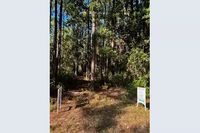 Lot 12 S 14th Street, Santa Rosa Beach, FL 32459 - Photo 1