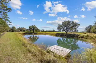 13796 FL-81, Ponce de Leon, FL 32455 - Photo 157
