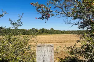 Lot 7 E Hwy 2 Hwy, Bonifay, FL 32425 - Photo 1