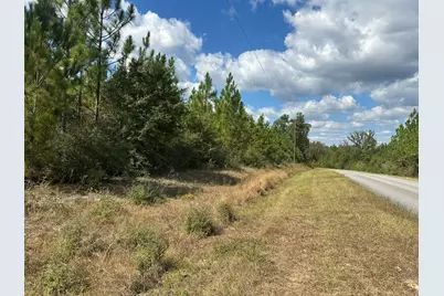 Parcel A New Ebenezer Road, Laurel Hill, FL 32567 - Photo 1