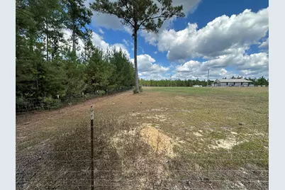 Parcel A New Ebenezer Road, Laurel Hill, FL 32567 - Photo 7