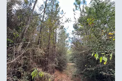 Parcel A New Ebenezer Road, Laurel Hill, FL 32567 - Photo 9