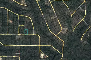 Lot 9 Aleo St, Marianna, FL 32448 - Photo 1