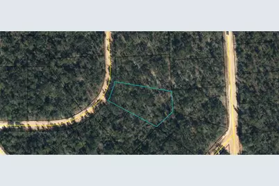 Lot 8 Gardenia Drive, Marianna, FL 32448 - Photo 1