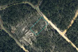 Lot 15 Dorcas Rd, Marianna, FL 32448 - Photo 1