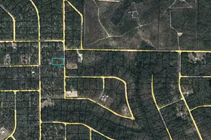 Lot 5 Broom Ave, Marianna, FL 32448 - Photo 1