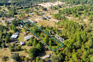 10152 American Farms Rd, Milton, FL 32583 - Photo 47