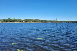 227 Holland Rd, Defuniak Springs, FL 32433 - Photo 3