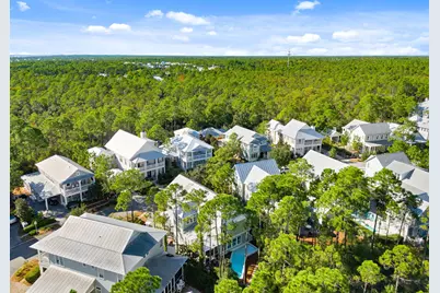 384 E Royal Fern Way, Santa Rosa Beach, FL 32459 - Photo 53