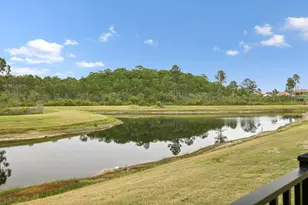 120 N Southern Cross Ln, Inlet Beach, FL 32461 - Photo 113