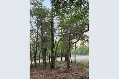 Lot 37 Diane Place, Chipley, FL 32428 - Photo 31