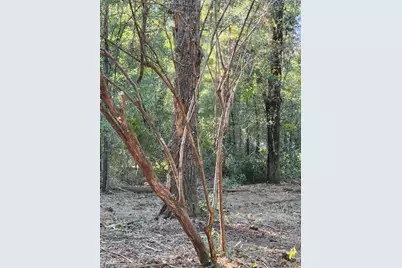 Lot 37 Diane Place, Chipley, FL 32428 - Photo 7