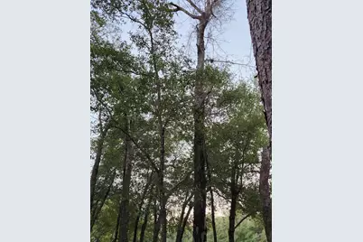 Lot 37 Diane Place, Chipley, FL 32428 - Photo 27